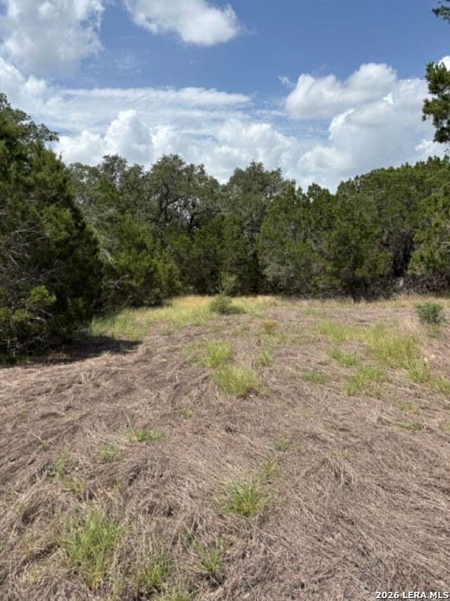 45.52 acres in Medina County - photo 18