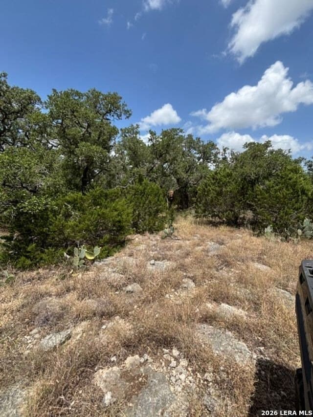 45.52 acres in Medina County - photo 31
