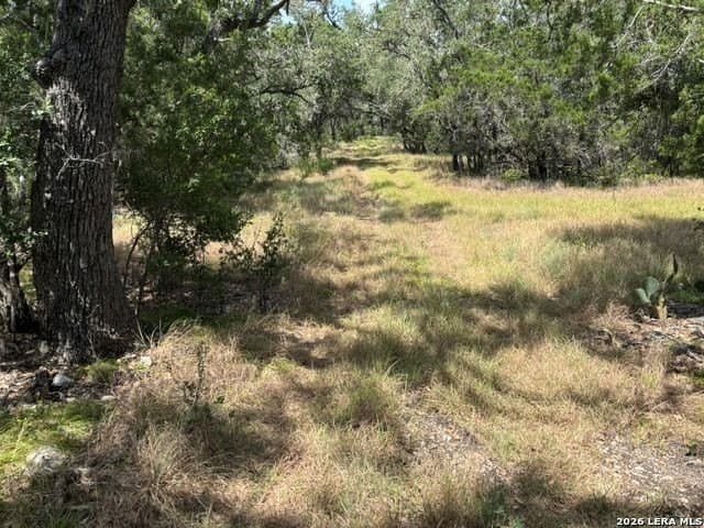 45.52 acres in Medina County - photo 2