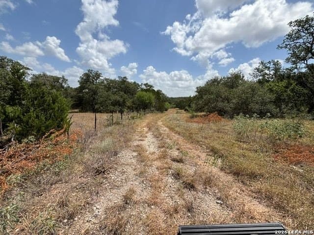 45.52 acres in Medina County - photo 19