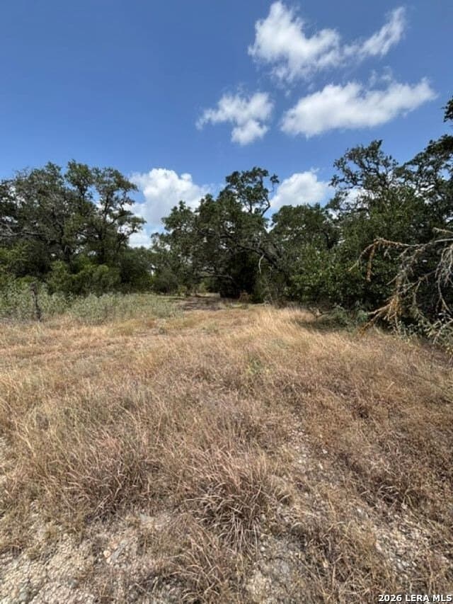 45.52 acres in Medina County - photo 22