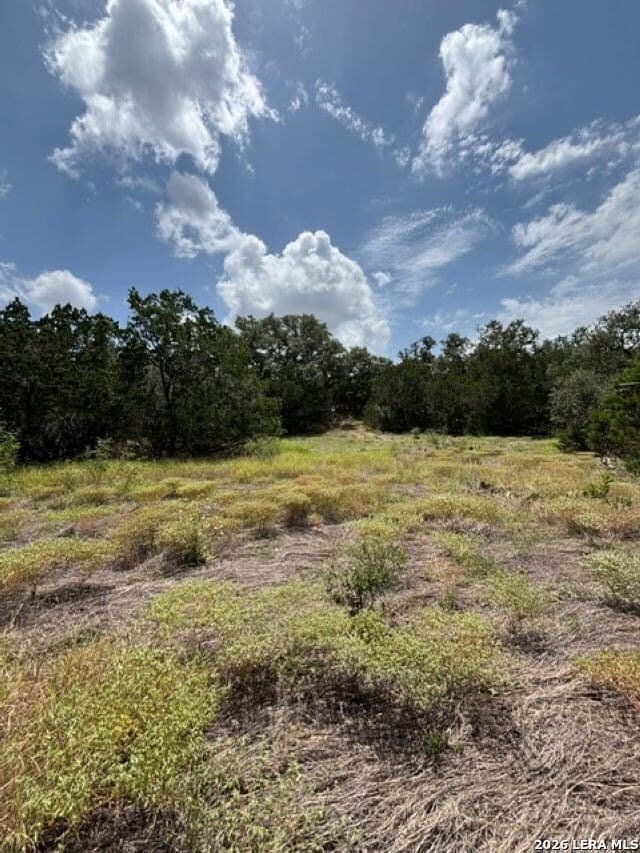 45.52 acres in Medina County - photo 9