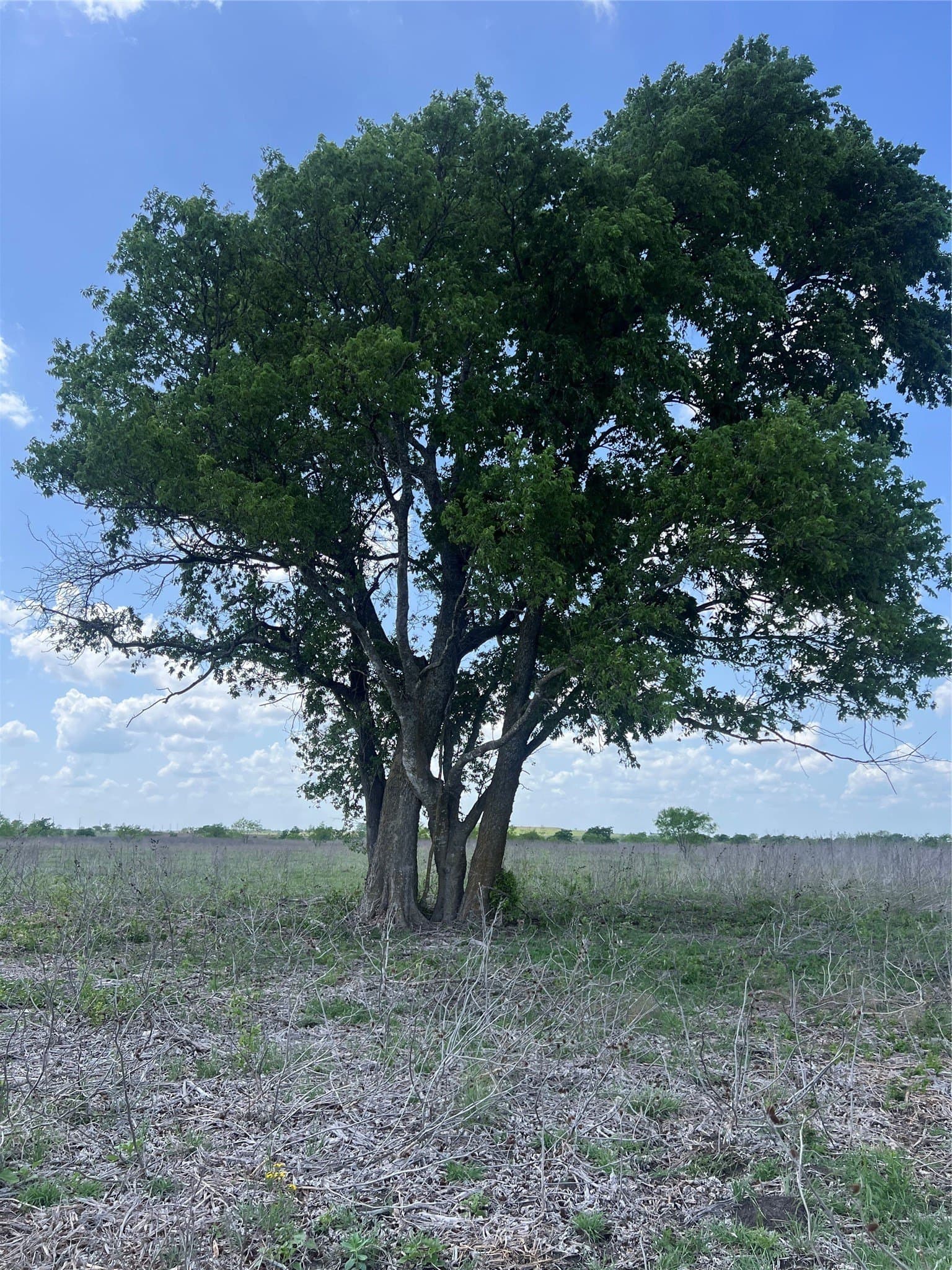10.01 acres in Hamilton County - photo 2
