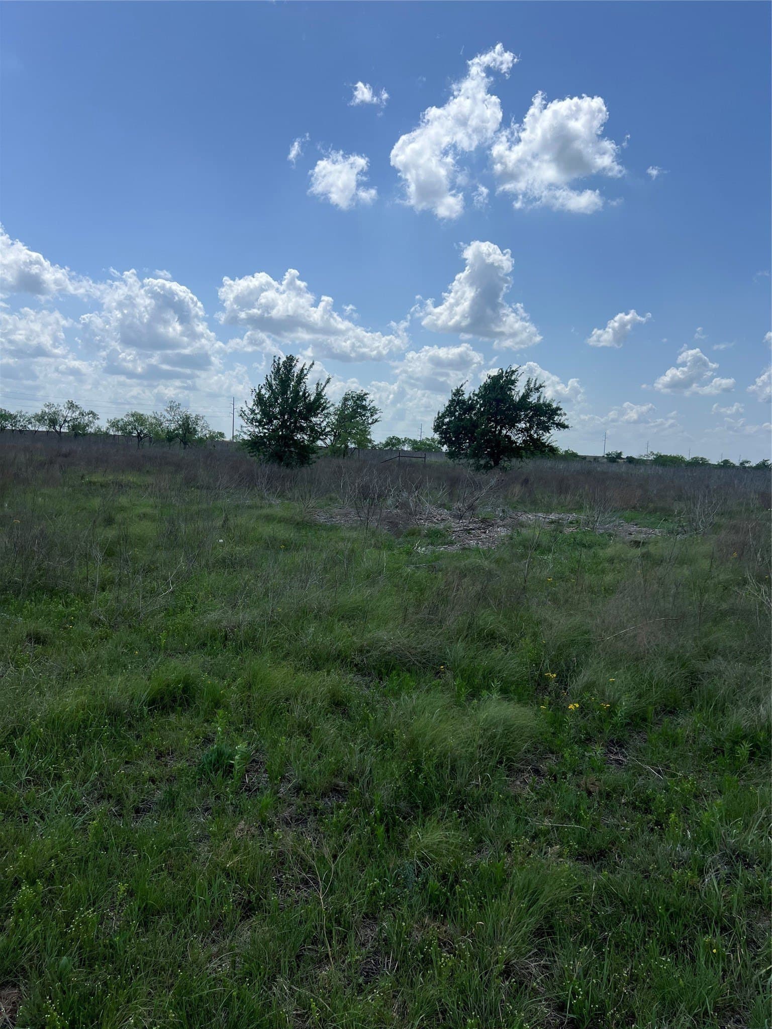 10.01 acres in Hamilton County - photo 3