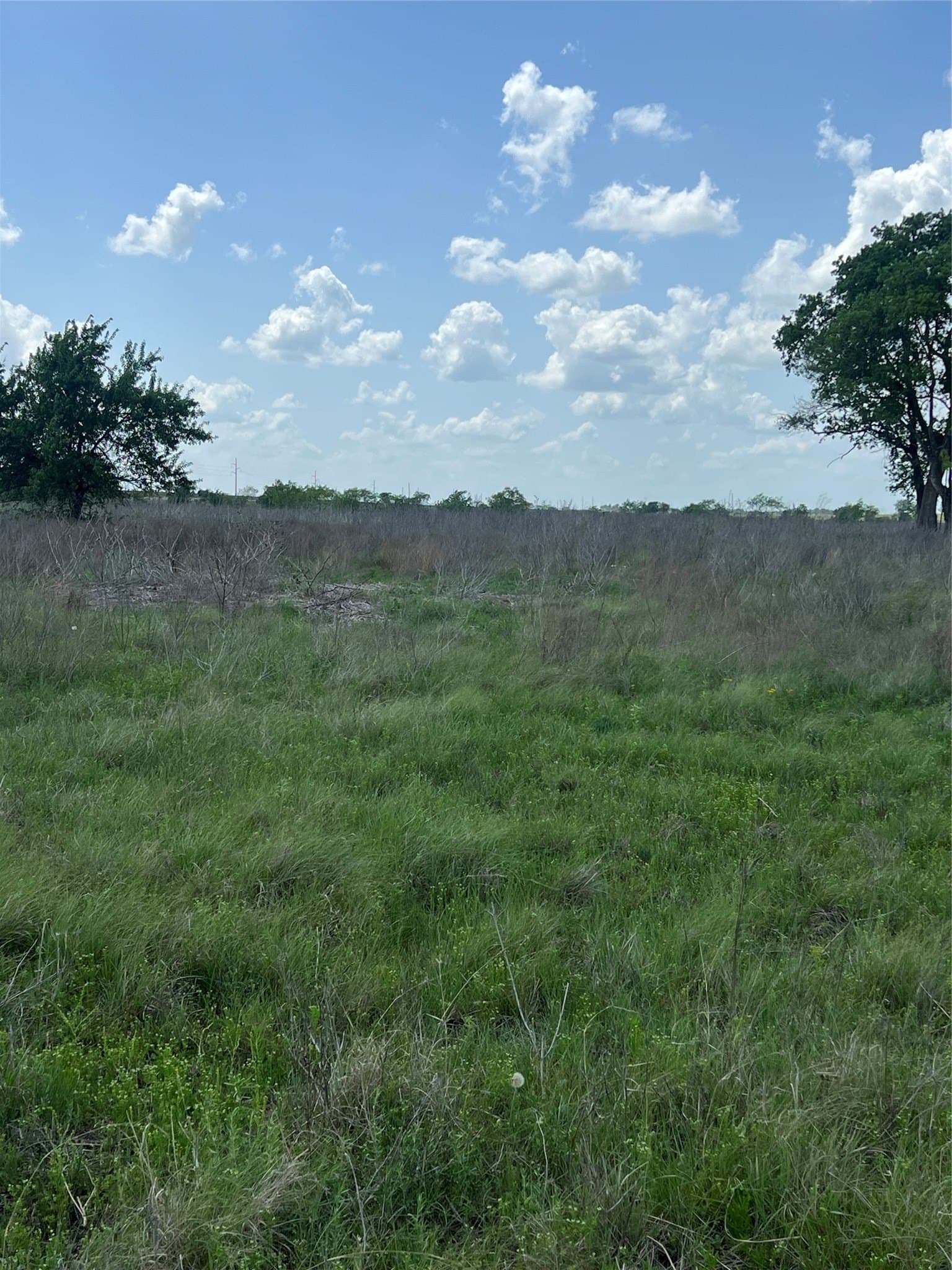 10.01 acres in Hamilton County - photo 6