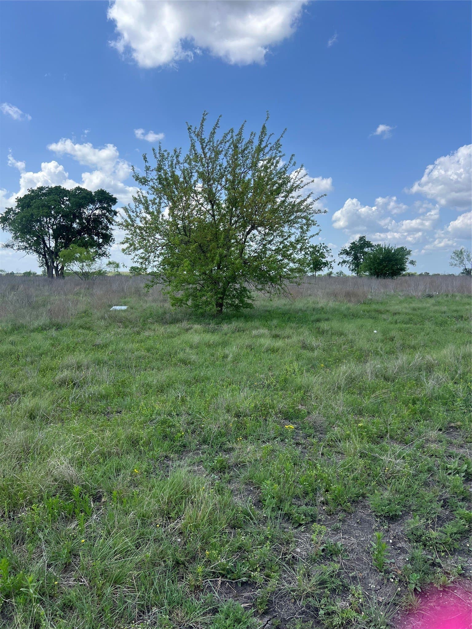 10.01 acres in Hamilton County - photo 5