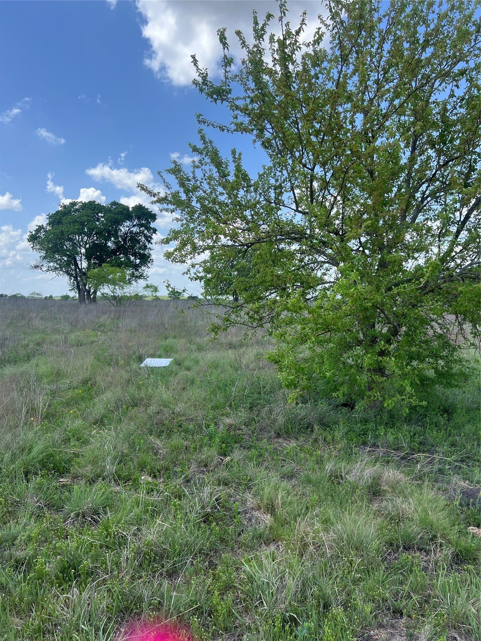 10.01 acres in Hamilton County - photo 4