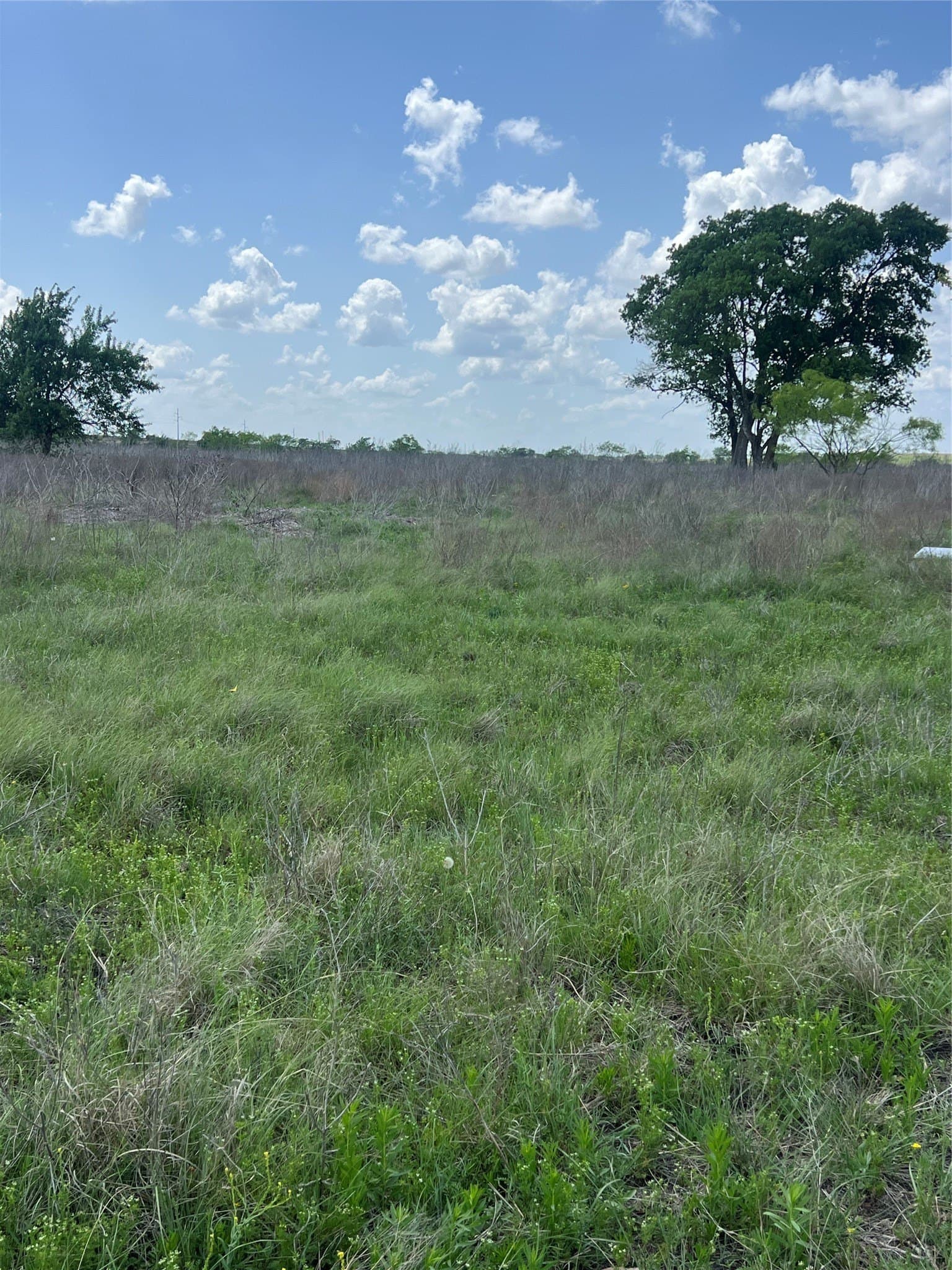 10.01 acres in Hamilton County - photo 8