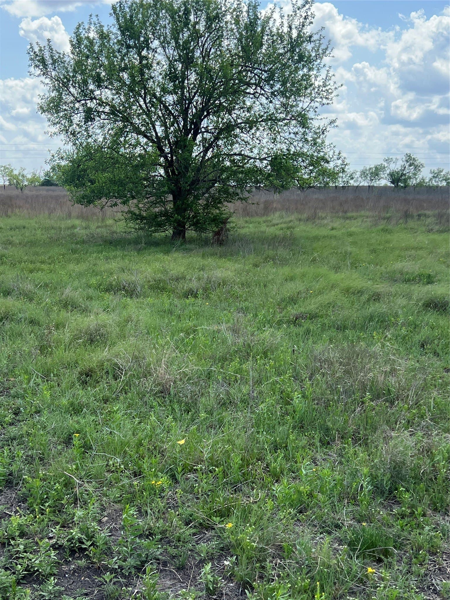 10.01 acres in Hamilton County