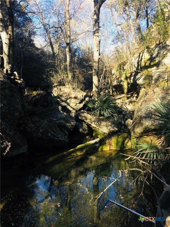 39.66 acres in Travis County - photo 31
