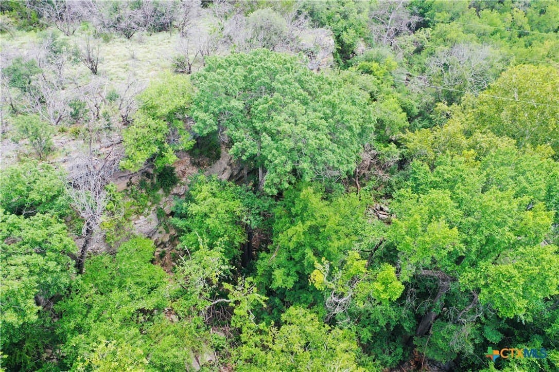 39.66 acres in Travis County - photo 15