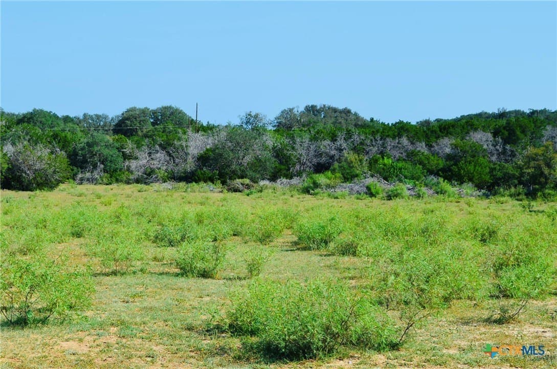 39.66 acres in Travis County - photo 17