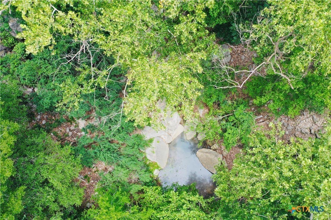 39.66 acres in Travis County - photo 14
