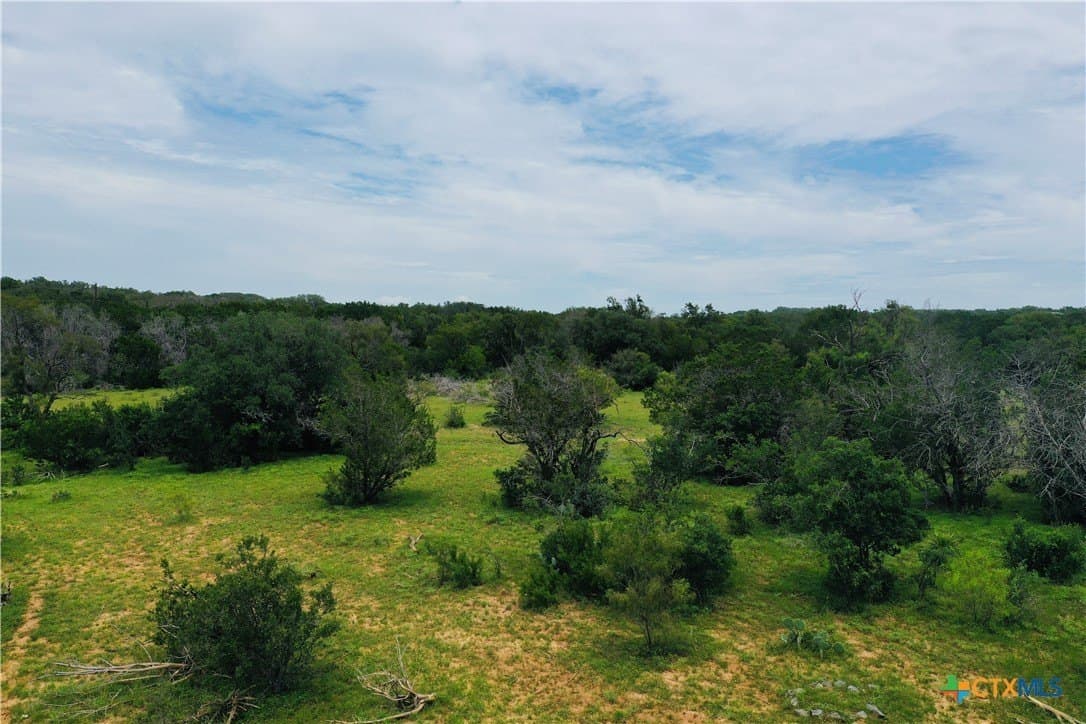 39.66 acres in Travis County - photo 12