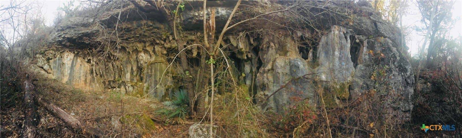 39.66 acres in Travis County - photo 29