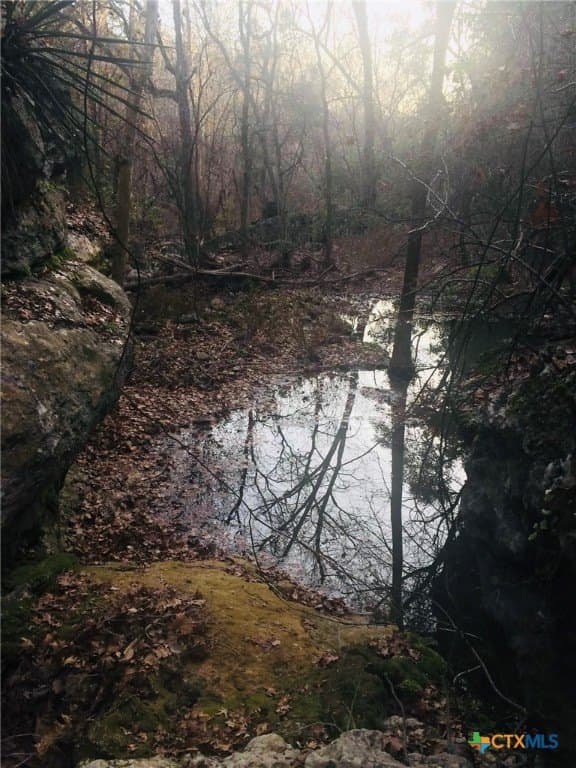 39.66 acres in Travis County - photo 28