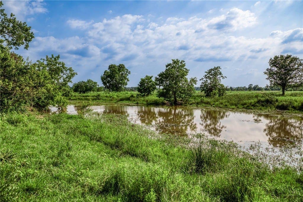 66.94 acres in Waller County - photo 11
