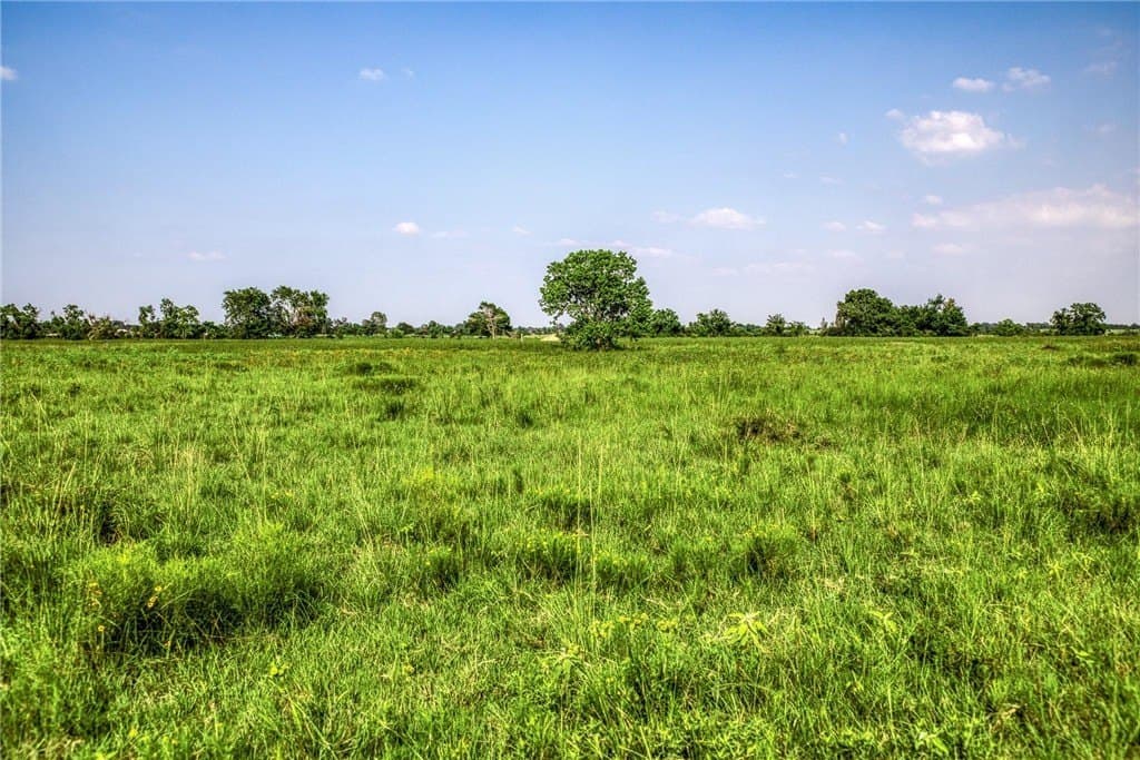 66.94 acres in Waller County - photo 16