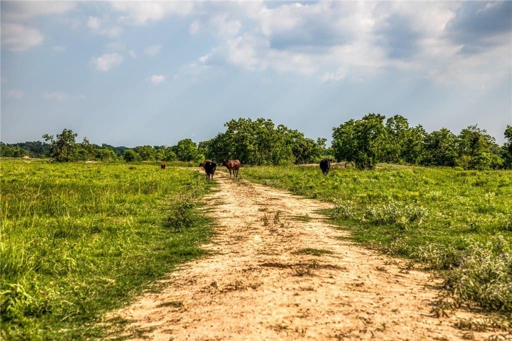 66.94 acres in Waller County - photo 17