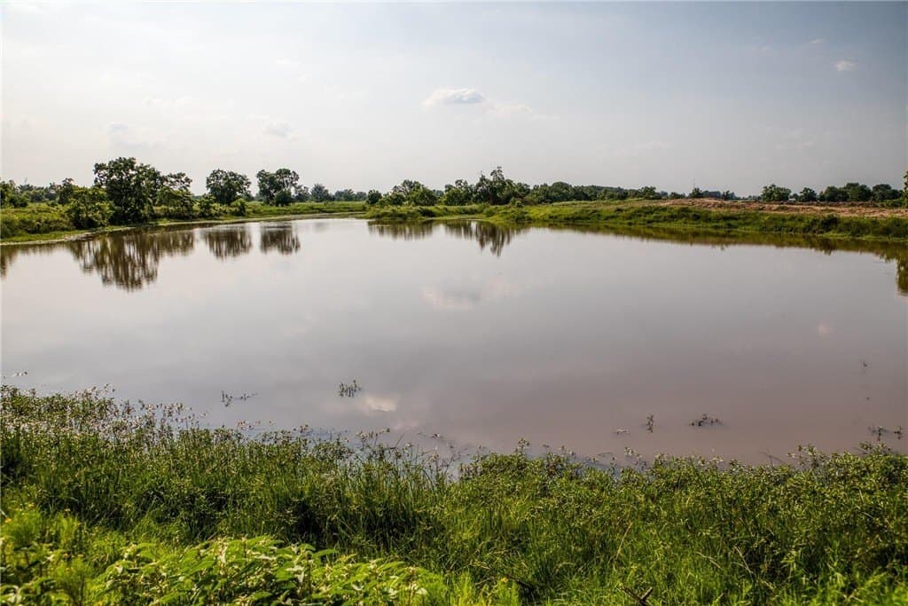 66.94 acres in Waller County - photo 6