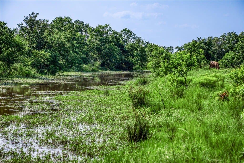 66.94 acres in Waller County - photo 10
