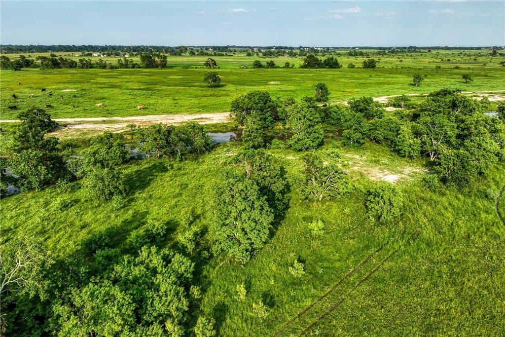 66.94 acres in Waller County - photo 12