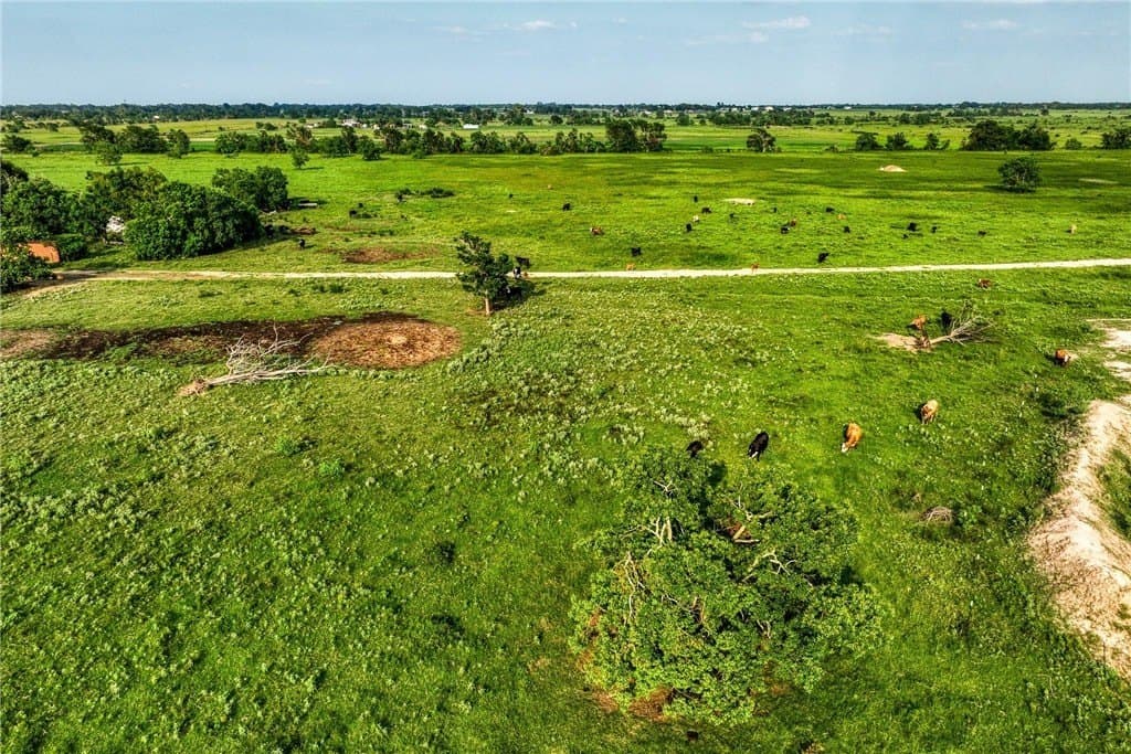 66.94 acres in Waller County - photo 13