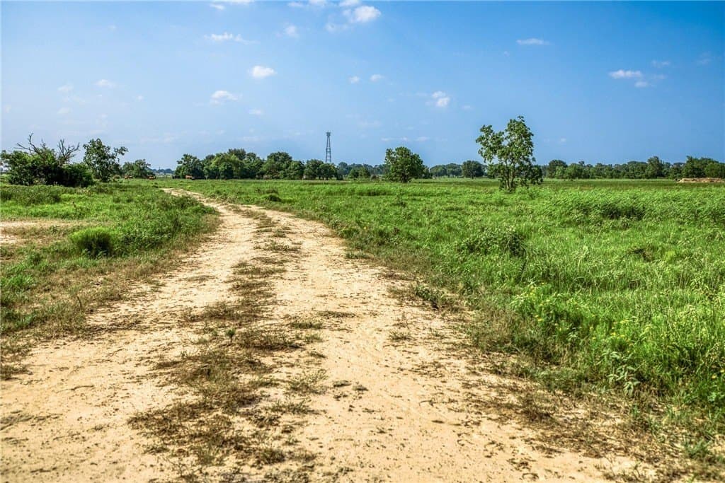 66.94 acres in Waller County - photo 18