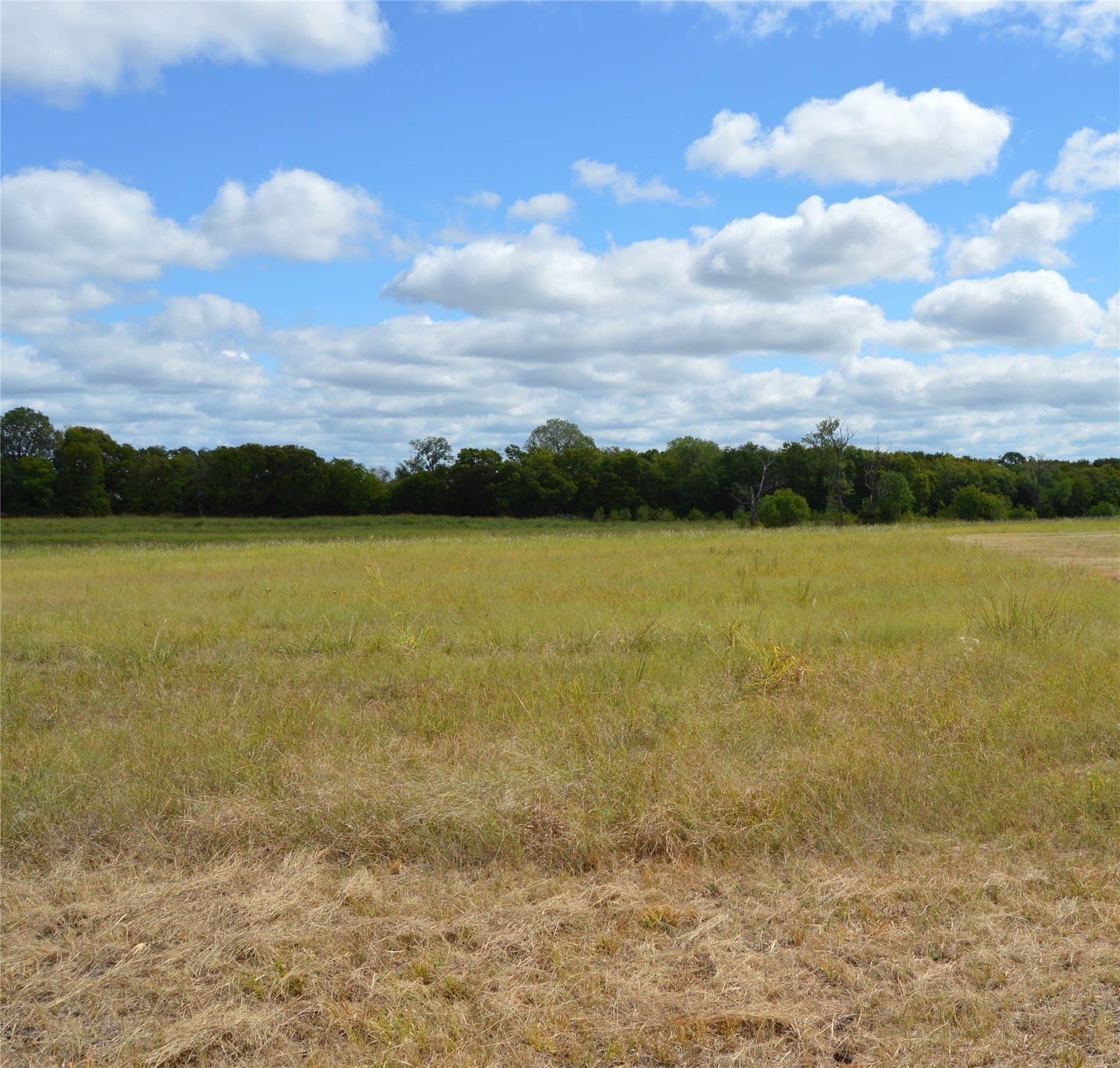 33 acres in Delta County - photo 14