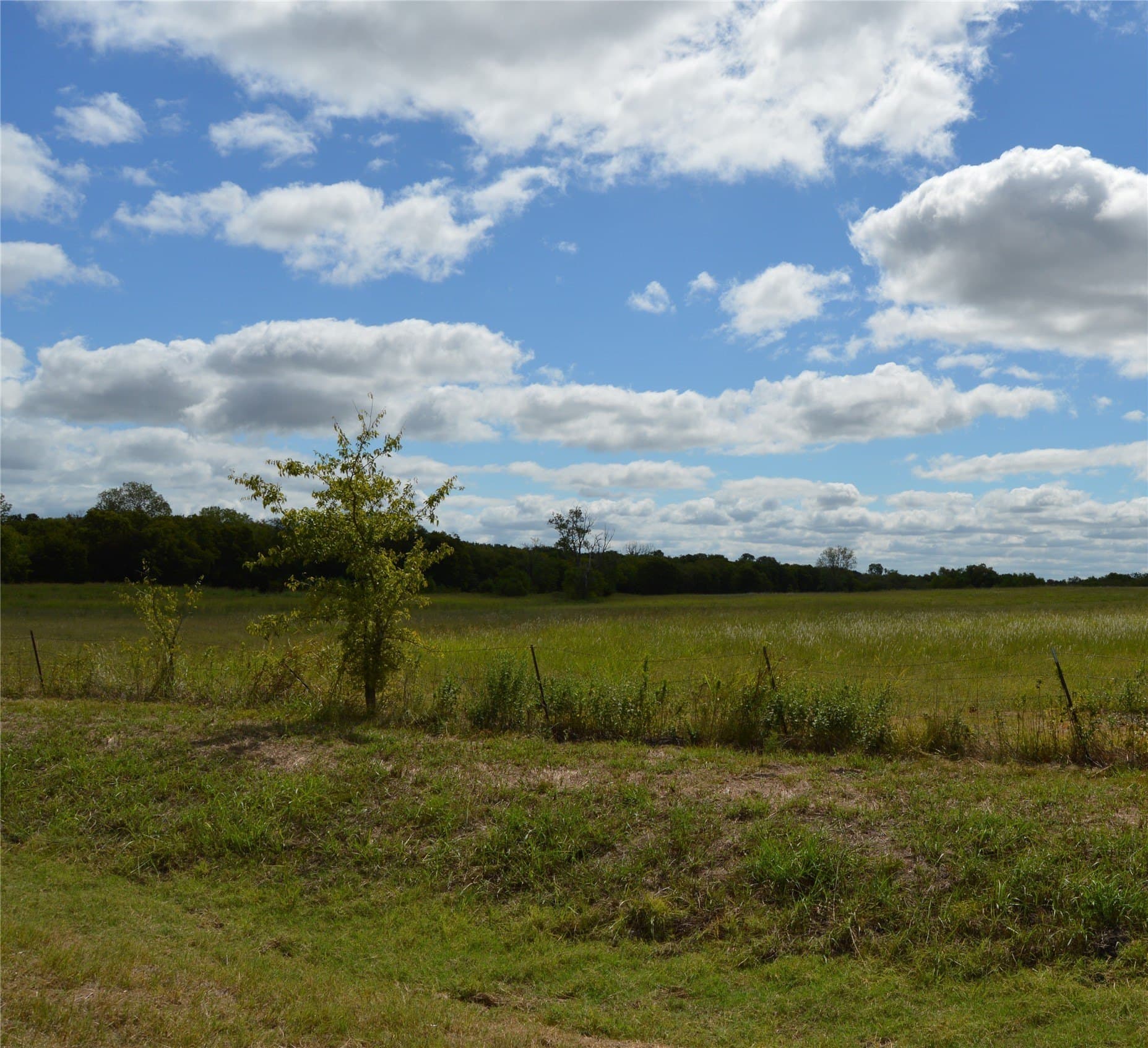 33 acres in Delta County - photo 16