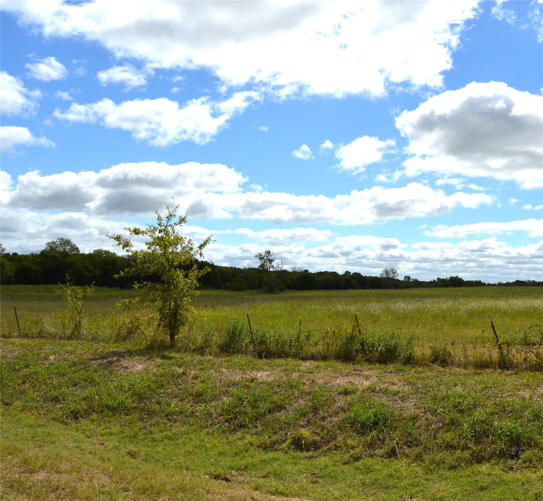 33 acres in Delta County - photo 18