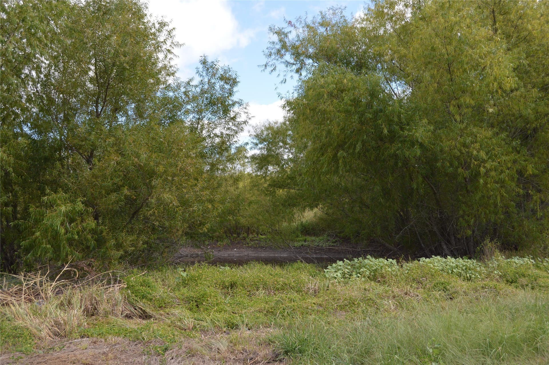 33 acres in Delta County - photo 6