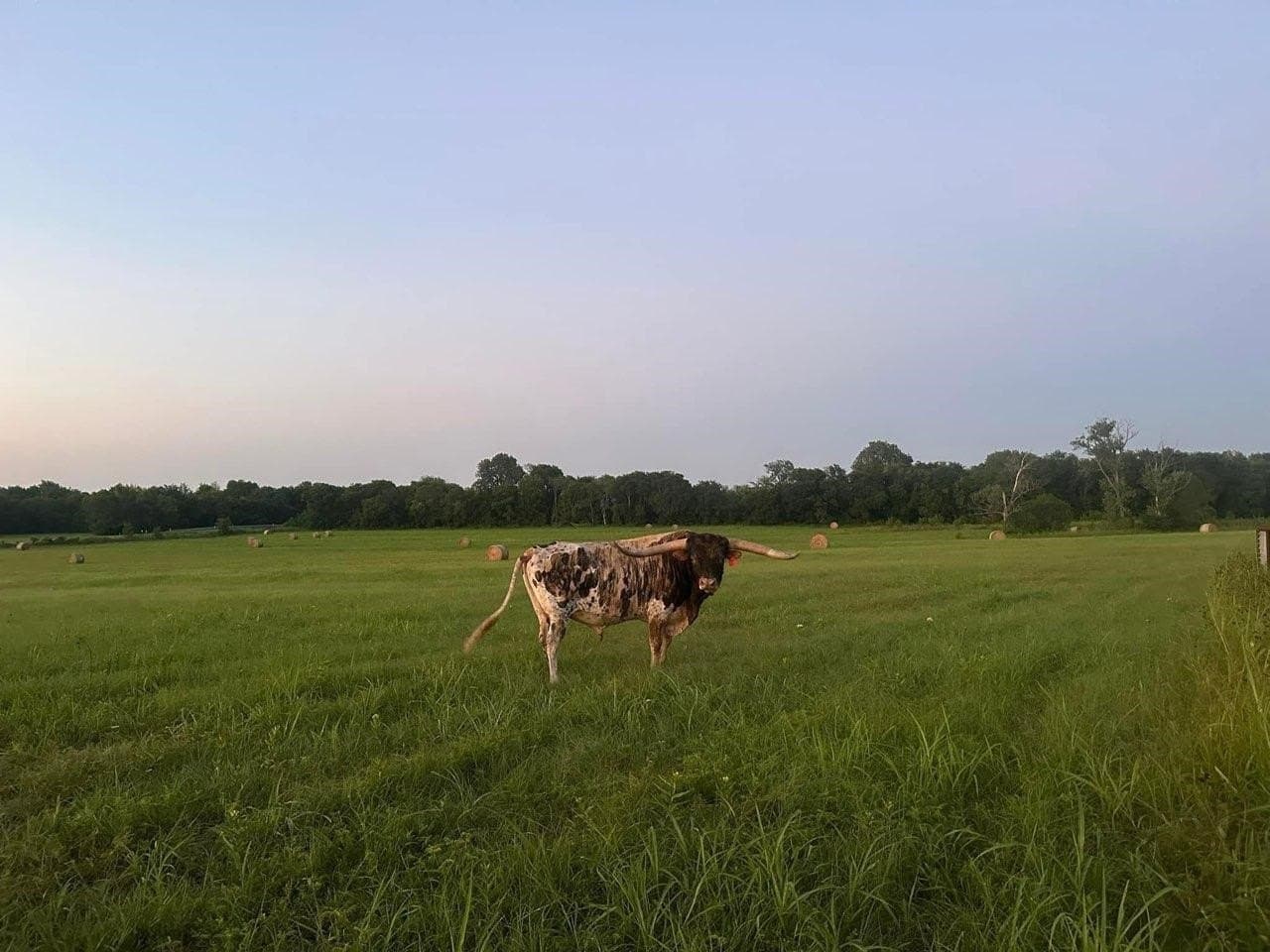 33 acres in Delta County - photo 9