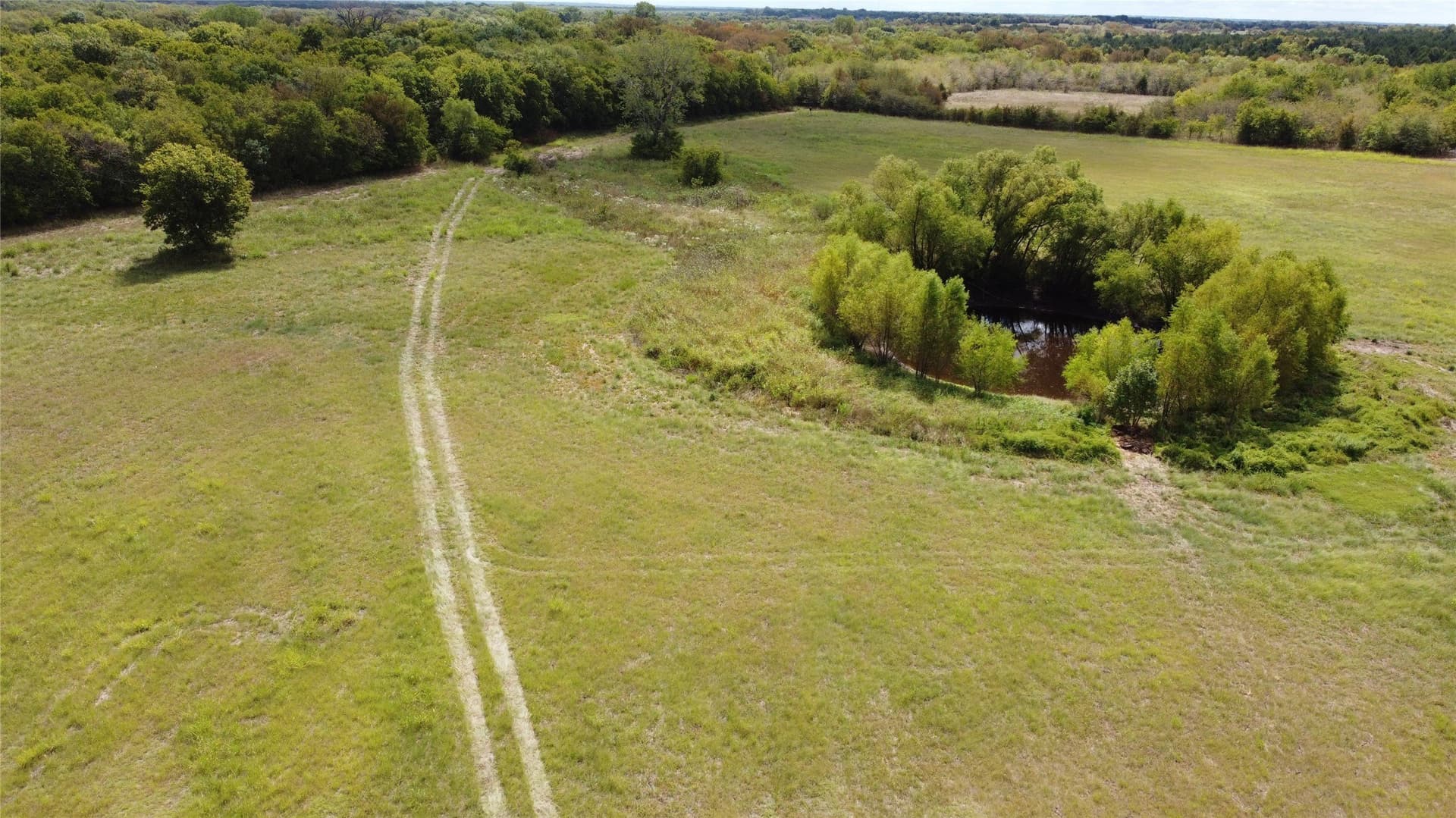 33 acres in Delta County gallery image 3