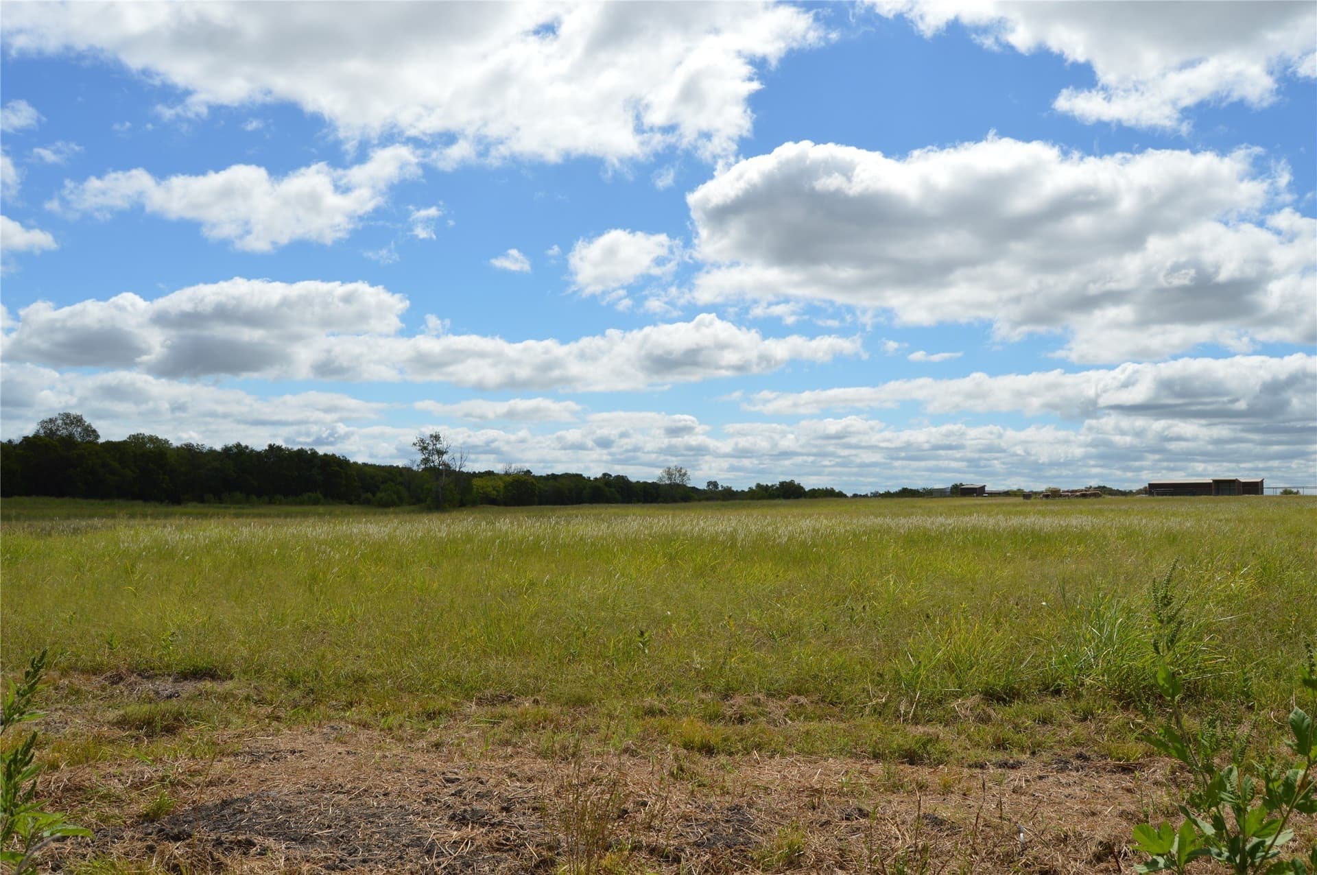 33 acres in Delta County gallery image 4