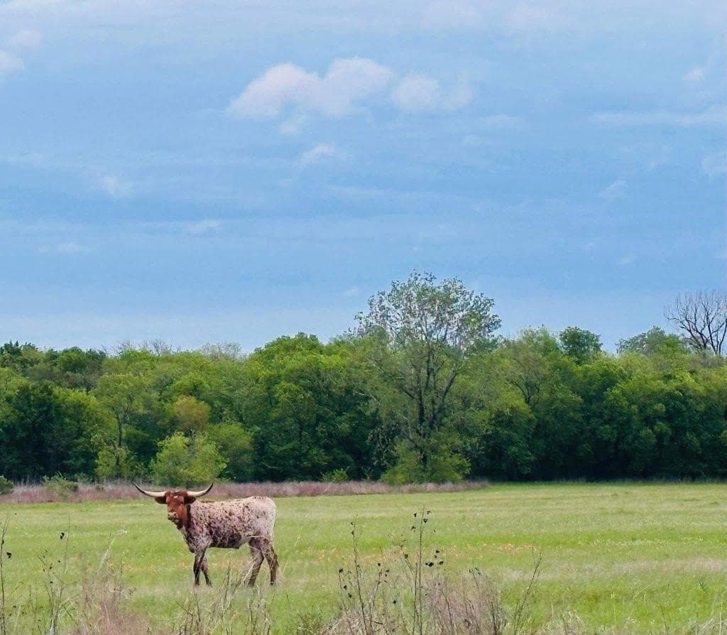 33 acres in Delta County - photo 8