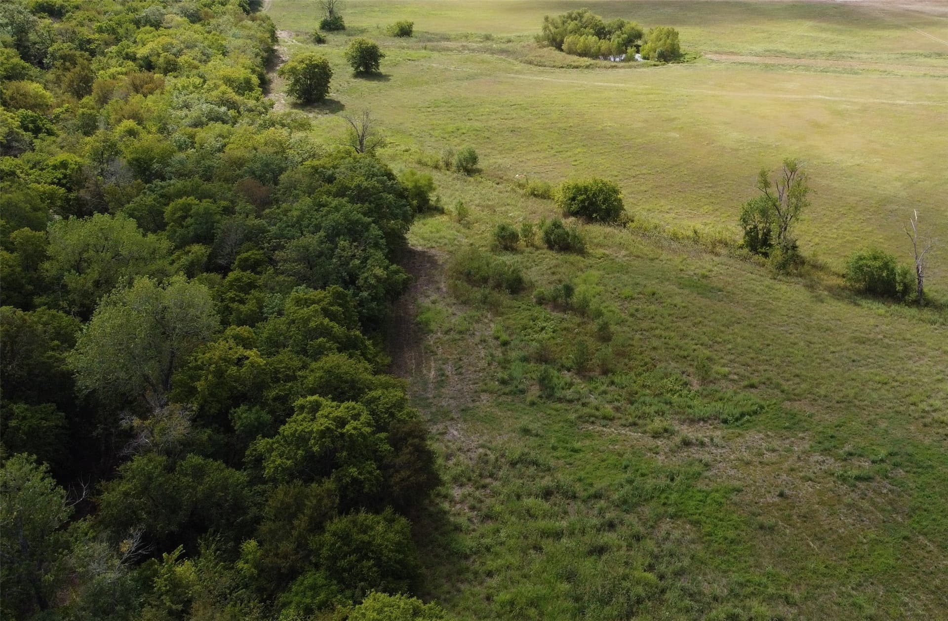 33 acres in Delta County - photo 22