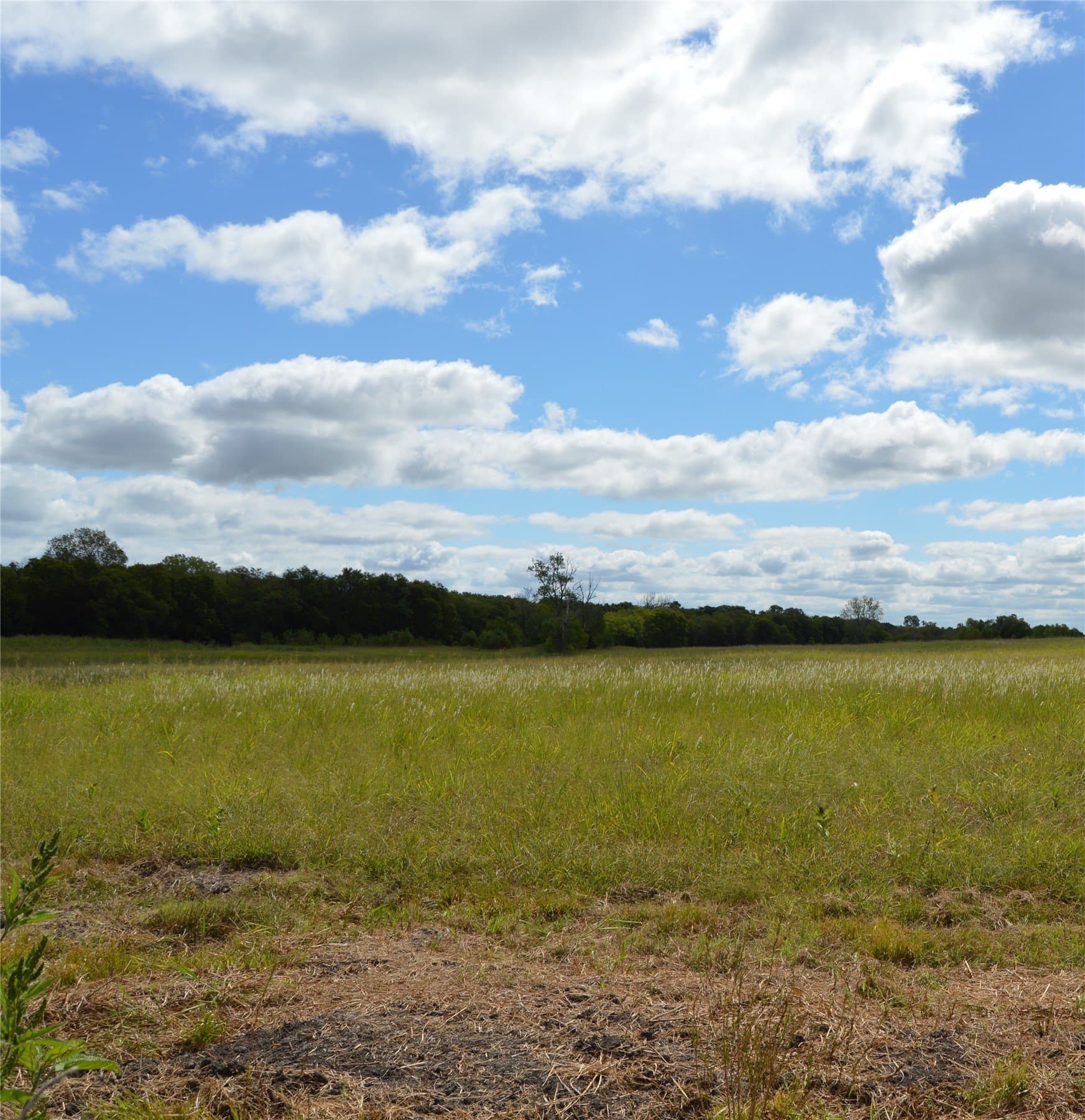 33 acres in Delta County - photo 15