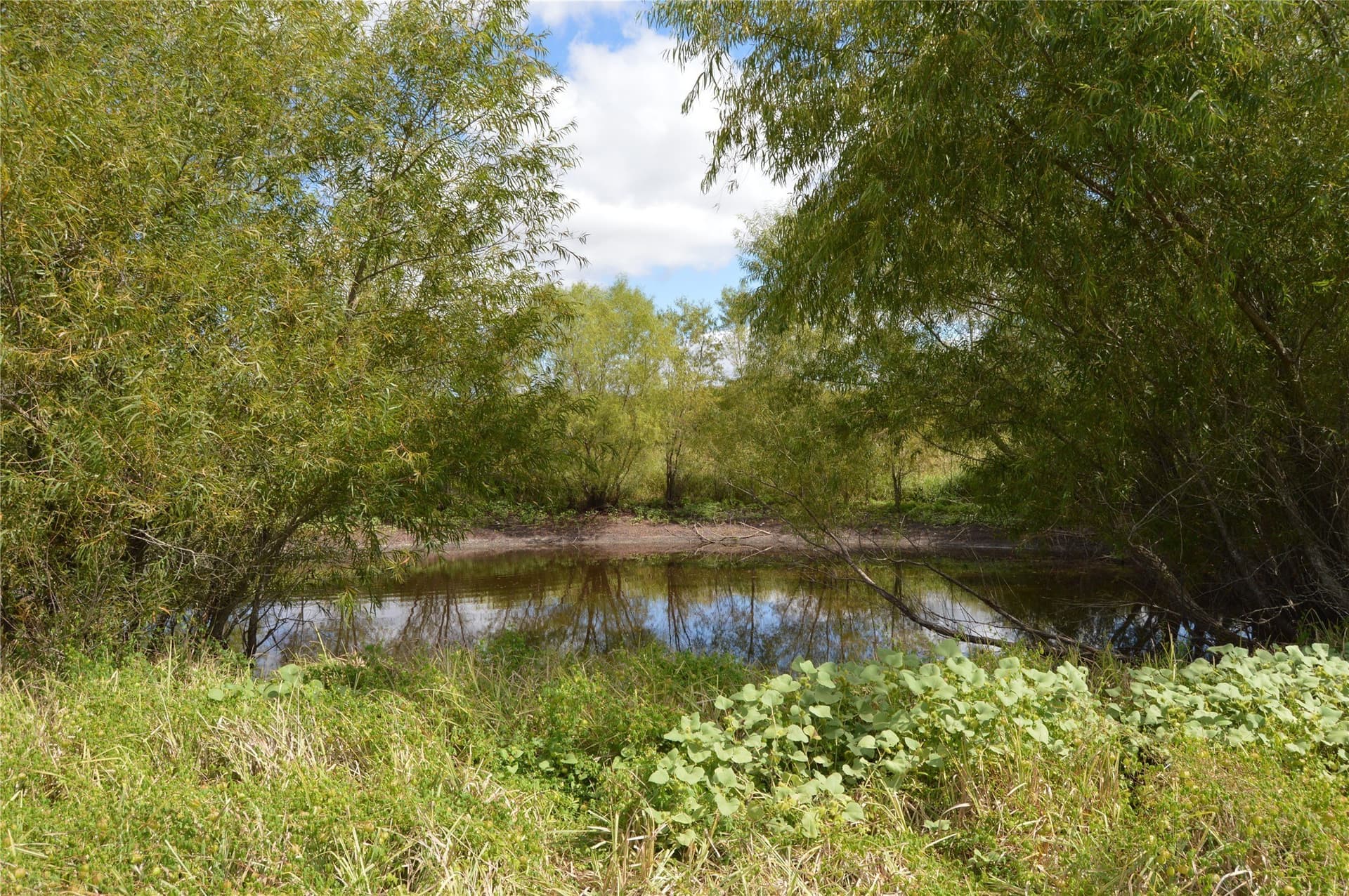 33 acres in Delta County - photo 7