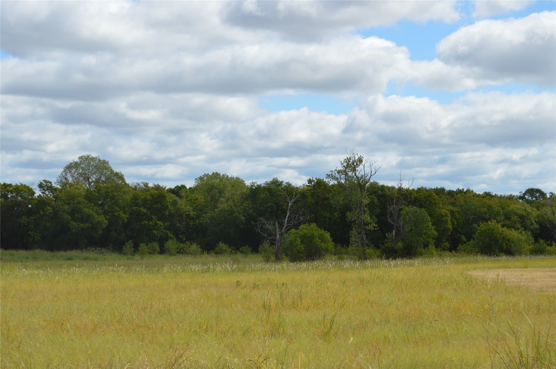 33 acres in Delta County featured view