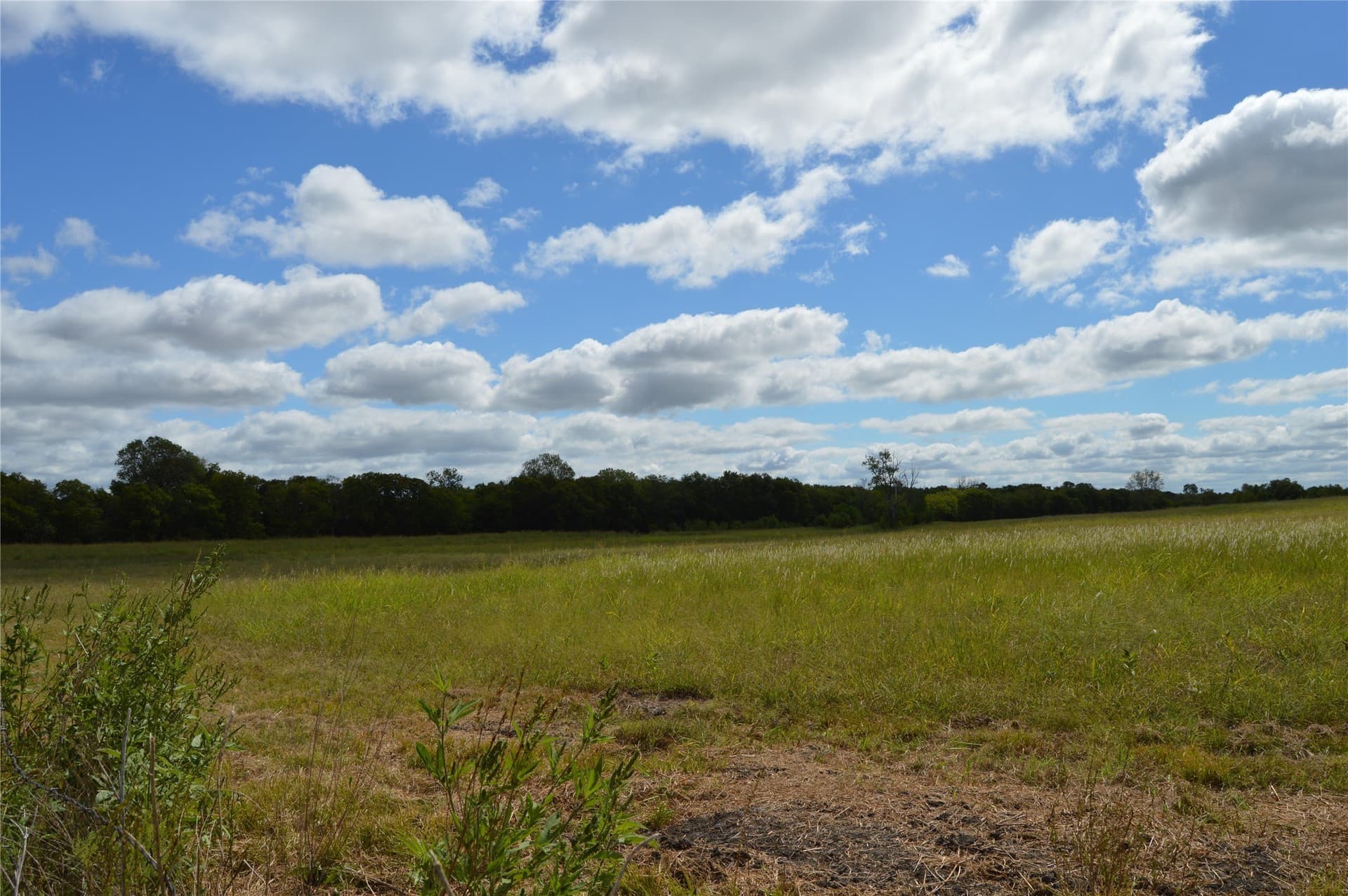 33 acres in Delta County gallery image 2