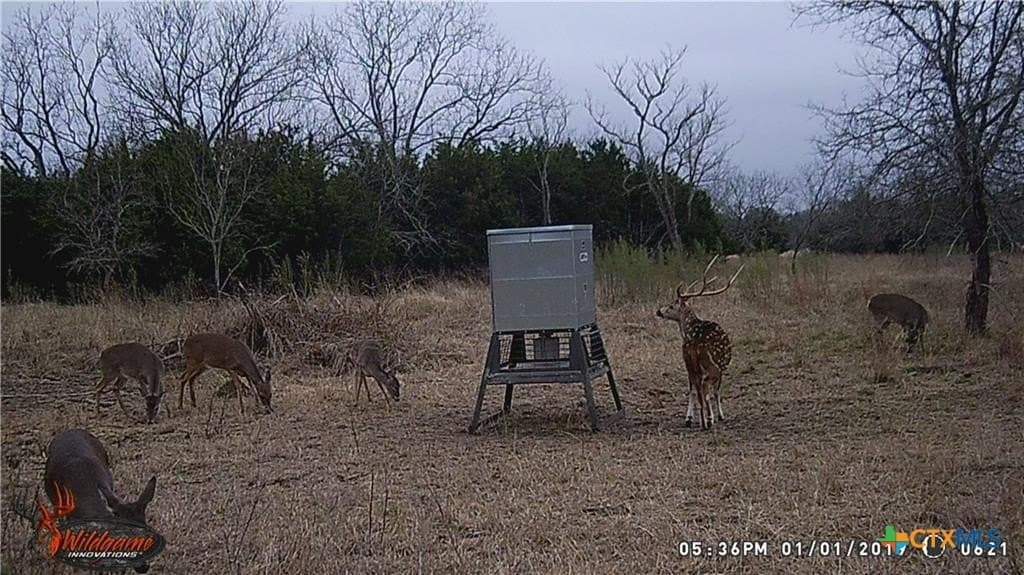 20.5 acres in Blanco County - photo 14