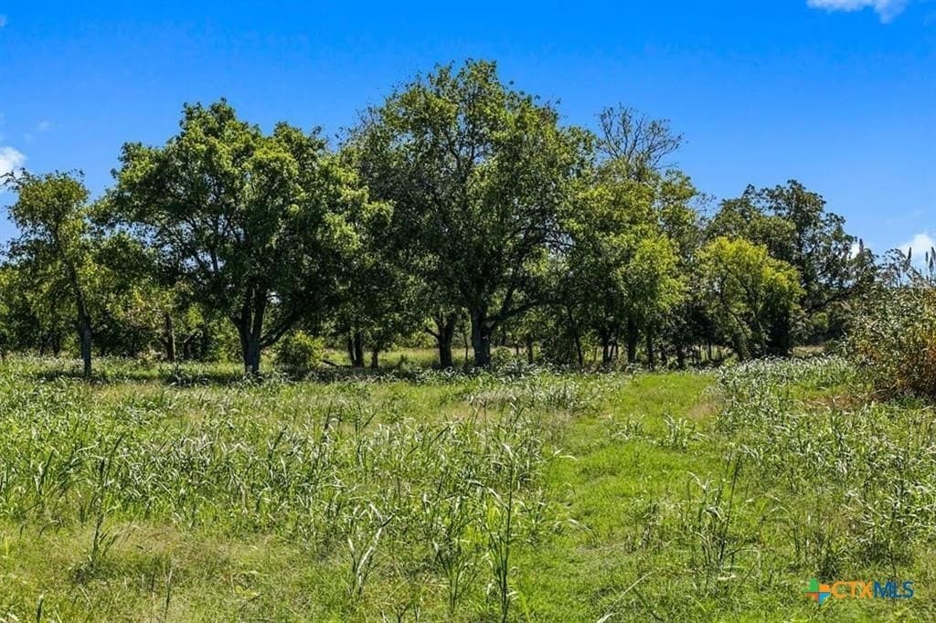 20.5 acres in Blanco County - photo 7