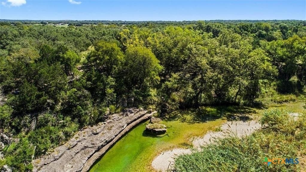 20.5 acres in Blanco County - photo 10