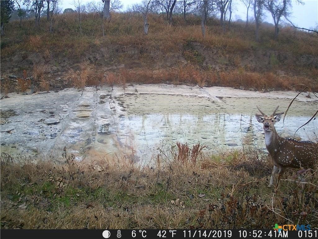 20.5 acres in Blanco County - photo 12