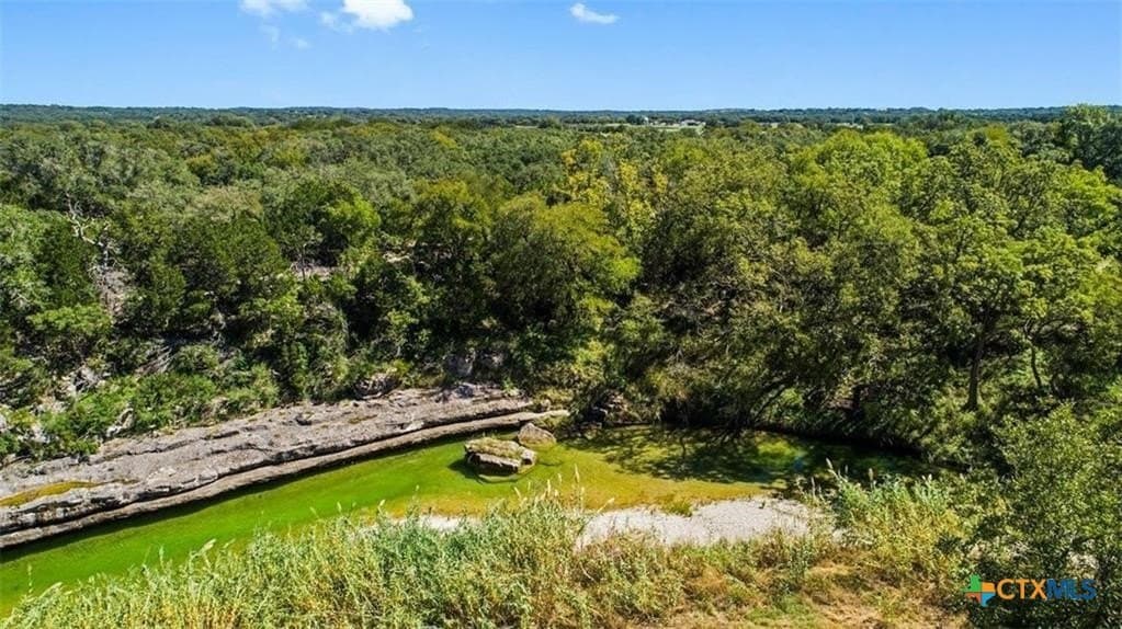20.5 acres in Blanco County - photo 11