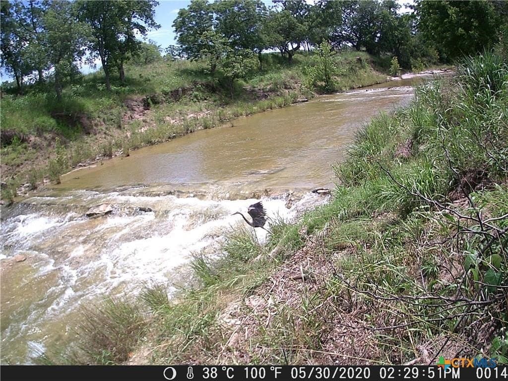 20.5 acres in Blanco County - photo 13