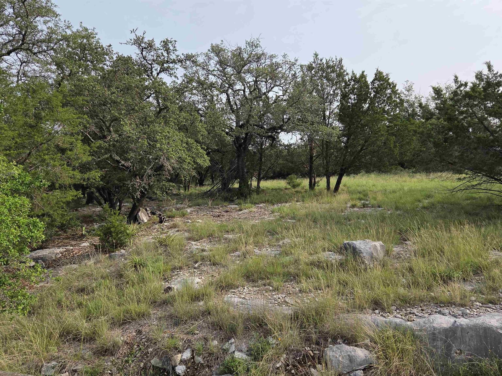 0.24 acres in Llano County gallery image 2