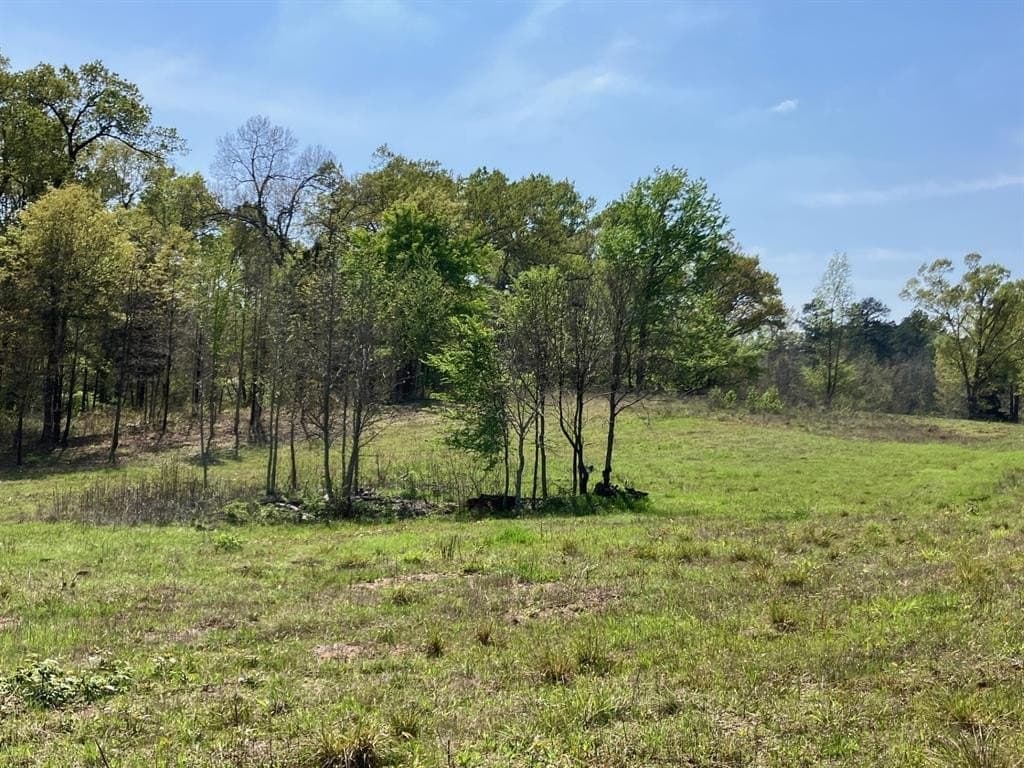 3.89 acres in Smith County gallery image 4