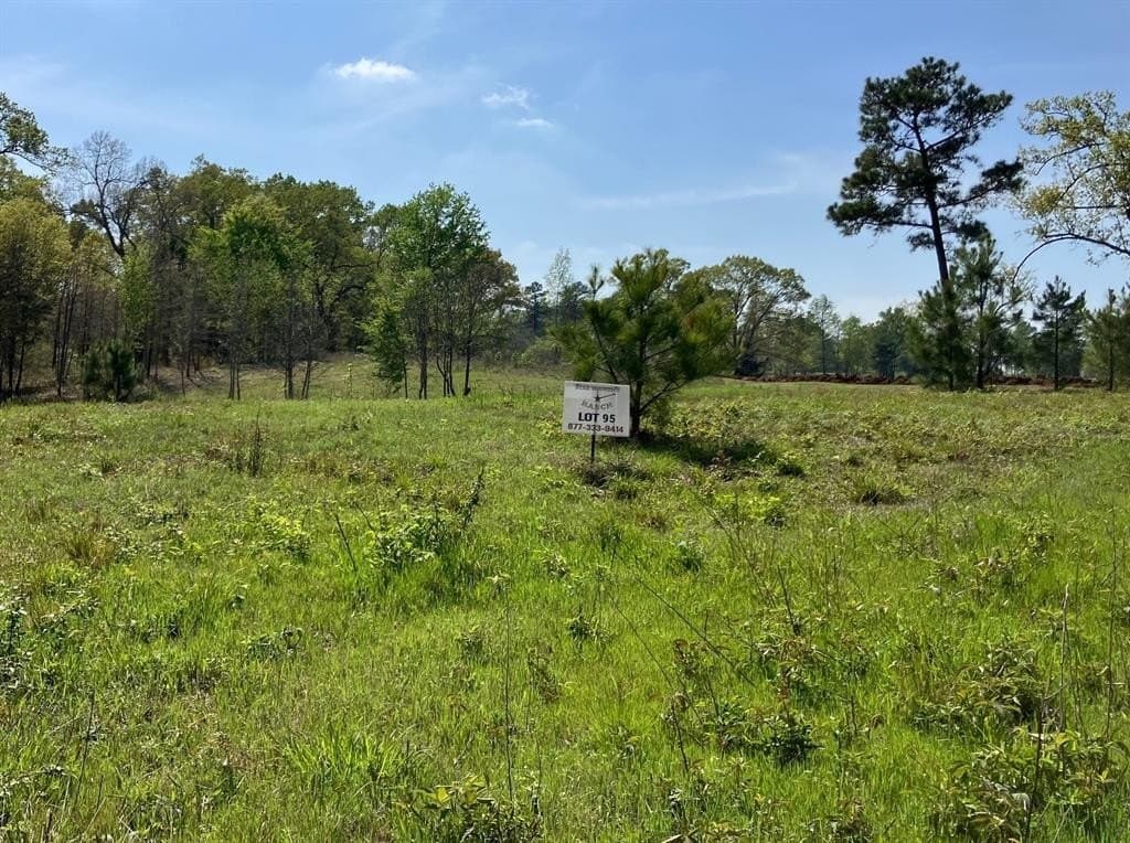 3.89 acres in Smith County gallery image 2